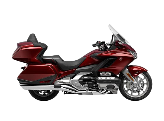 GOLD WING