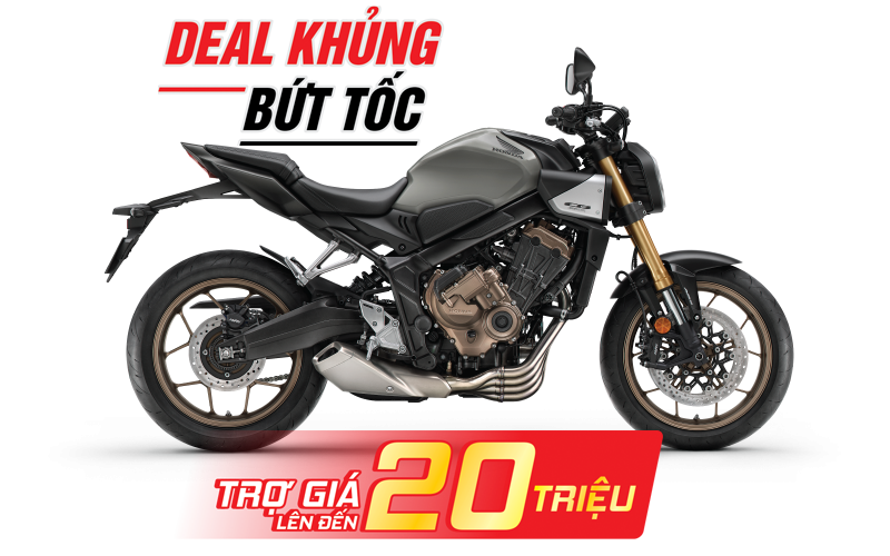 Xám Đen Bạc