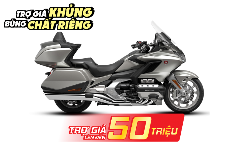 GOLD WING